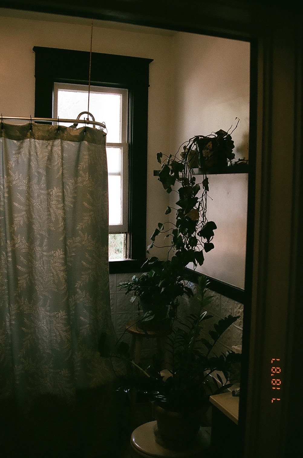 Americana, photograph 14 of 26 by Adi Jahic