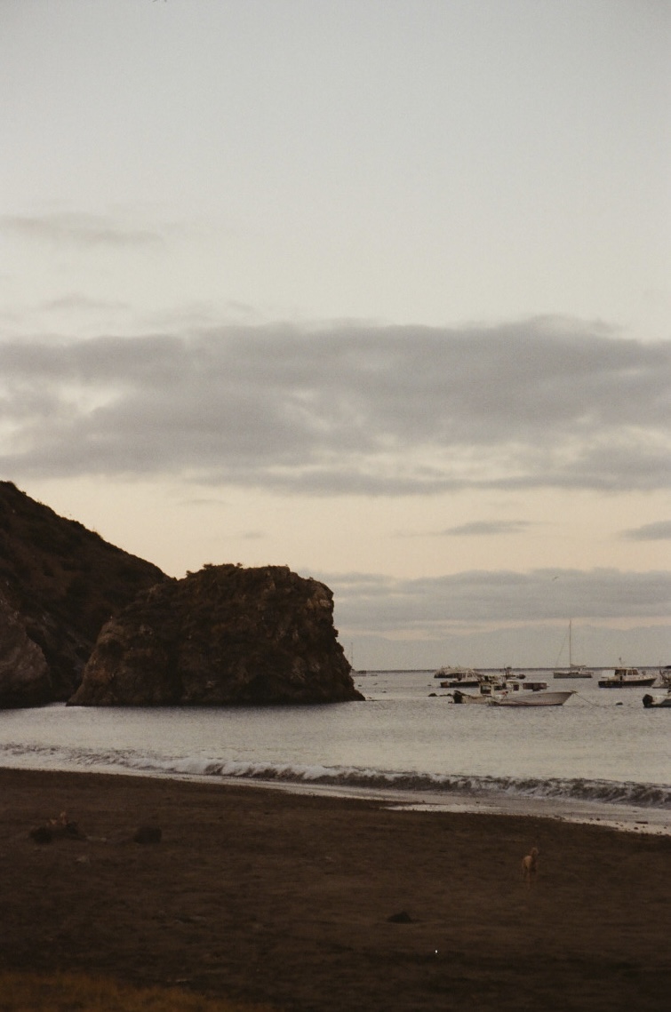 Summer, photograph 22 of 24 by Adi Jahic