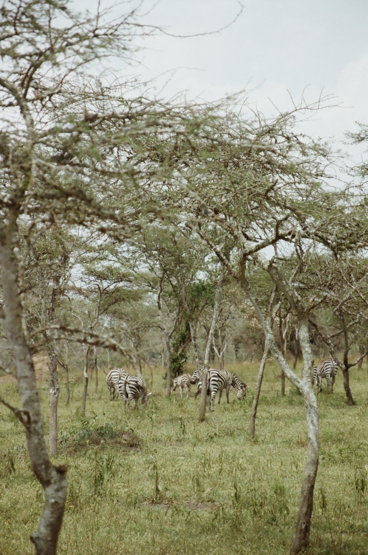 Uganda, photograph 18 of 24 by Adi Jahic