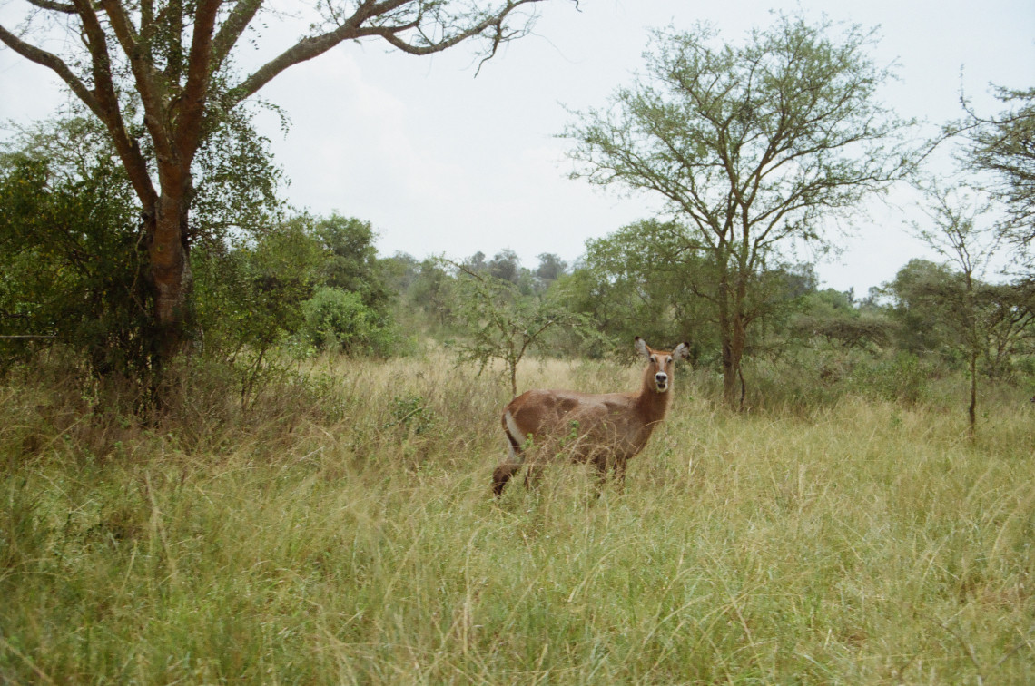 Uganda, photograph 3 of 24 by Adi Jahic