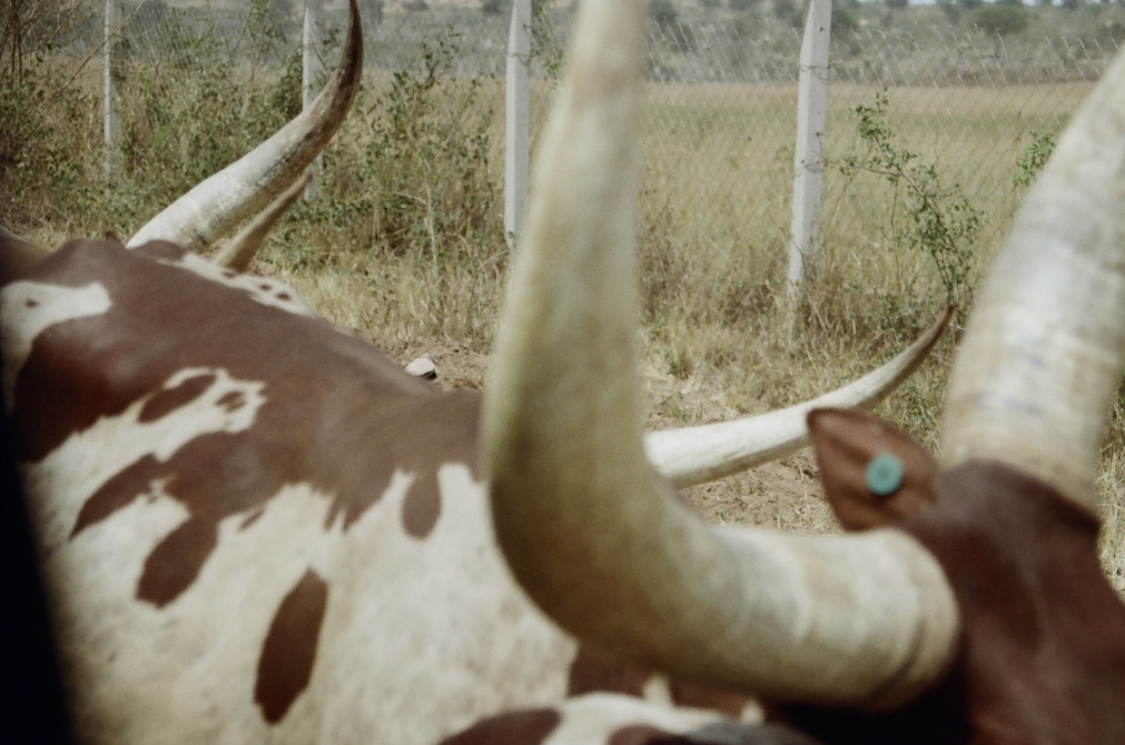 Uganda, photograph 8 of 24 by Adi Jahic